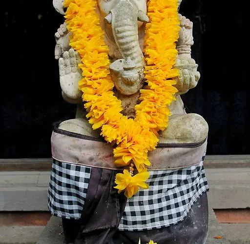 Muwa * Ubud